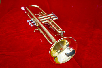 樂器小號(hào)