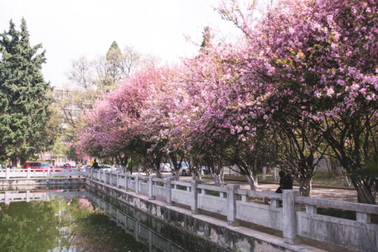 昆明理工大學(xué)