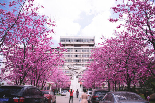 昆明理工大學
