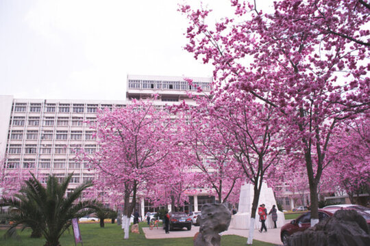 昆明理工大學(xué)