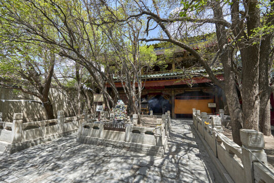 塔爾寺