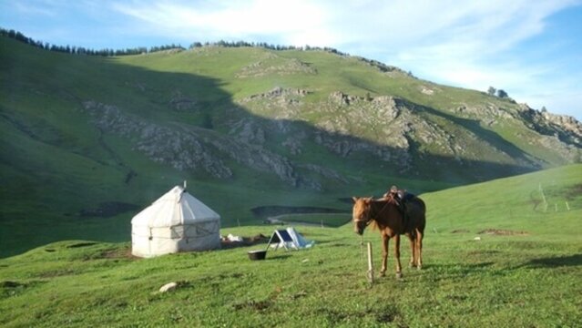 阿爾泰山后山夏牧場 風光 新疆