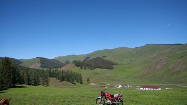 阿爾泰山后山夏牧場(chǎng)
