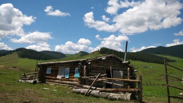 阿爾泰山后山夏牧場 風(fēng)光 新疆