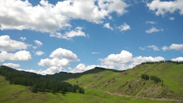 阿爾泰山后山夏牧場 風(fēng)光 新疆