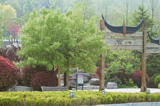 青島風(fēng)光 世博園 世園會 東李
