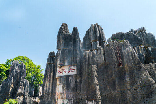 石林風(fēng)景區(qū)