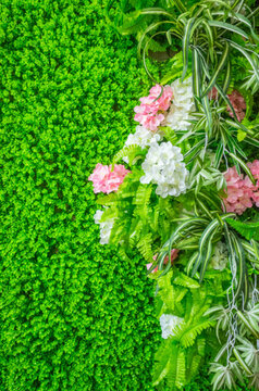植物紋理素材