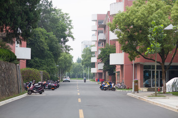 校園道路