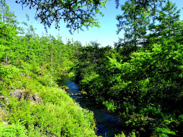 阿爾山國(guó)家森林公園