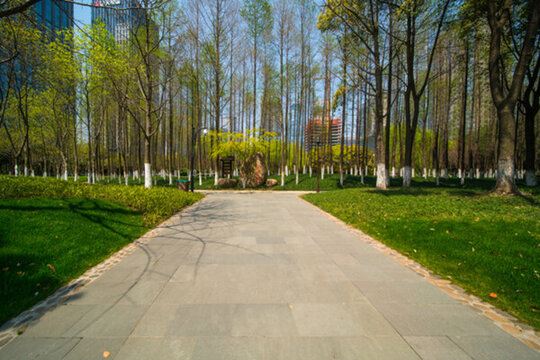 錢江新城森林公園