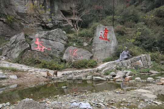 湖北武當山逍遙谷愛情猴子