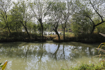 杭州水鄉(xiāng)小景1