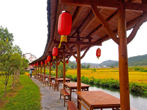上饒市 婺源縣 嚴(yán)田古樟民俗園