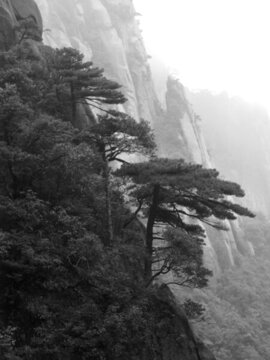江西 上饒 三清山 風光