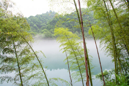 霧漫小東江
