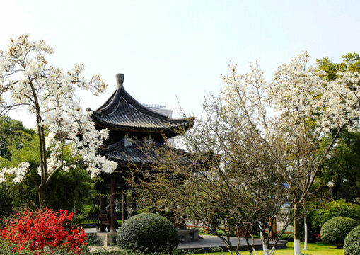 寧波 月湖 古建筑