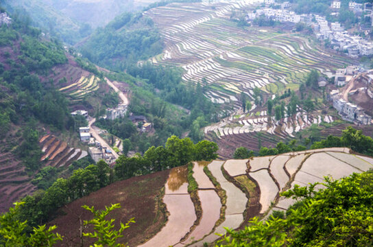 雷波縣農(nóng)業(yè)