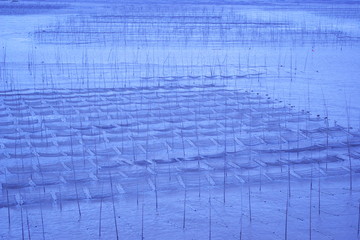 海邊