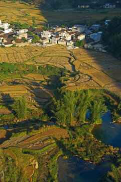 秋收田園