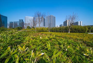 杭州望江公園