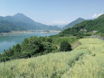 都江堰