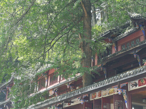 青城山