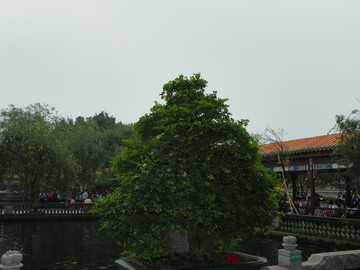 廣州公園