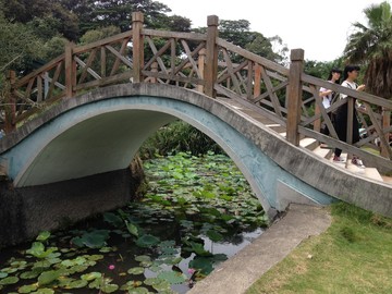 拱橋建筑