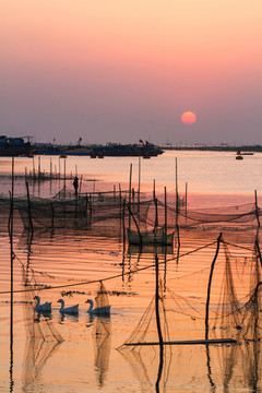 夕歸