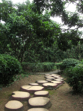 石塊小路
