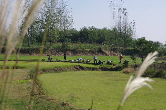 鄉(xiāng)村美景
