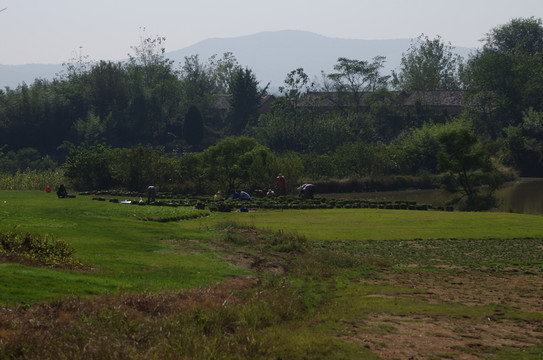 農(nóng)民勞動(dòng)場(chǎng)景