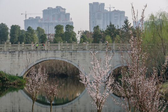 石拱橋 濕地公園