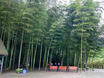 生態(tài)游