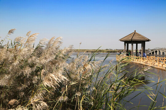 山東省 東營市黃河口生態(tài)旅游區(qū)