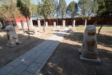 石家莊毗盧寺