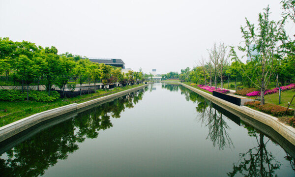 生態(tài)濕地