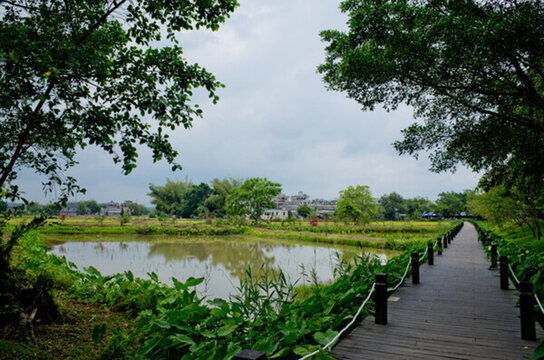 田園風(fēng)光