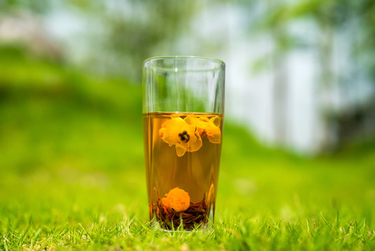 遵義紅茶