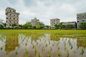 碉樓 開(kāi)平