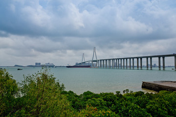 海灣大橋 掉索大橋