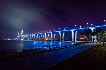 海灣大橋 掉索大橋