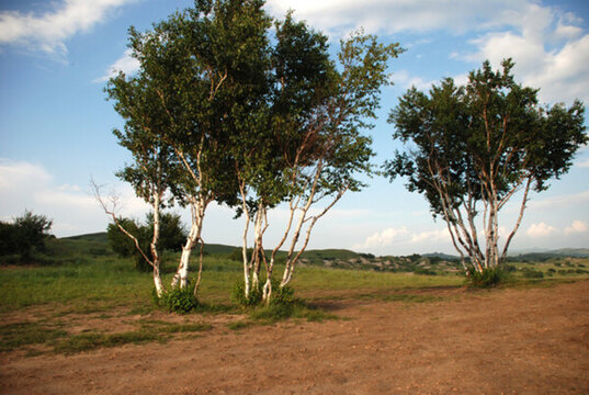 內(nèi)蒙古克什克騰草原
