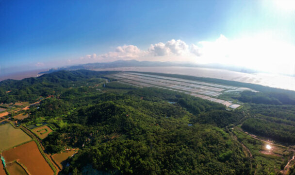 珠海淇澳濕地