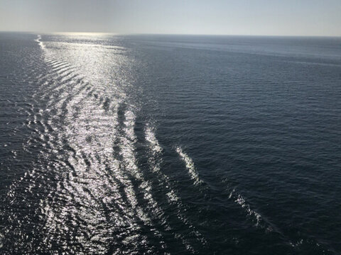 海
