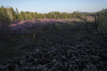 火山巖