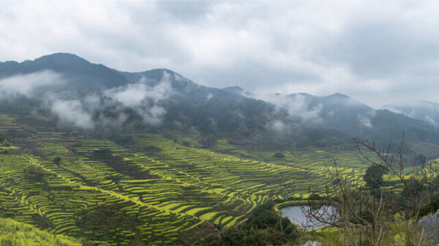 篁嶺春色