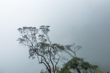 三清山風(fēng)景