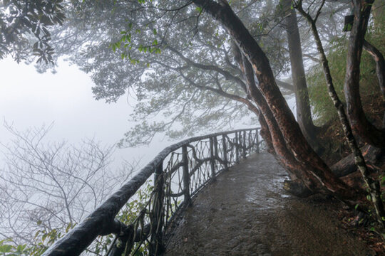 三清山風(fēng)光